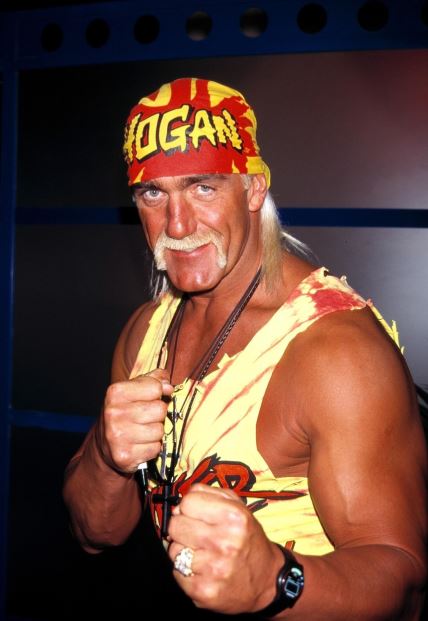 Hulk Hogan uništio si je obitelj snimkom seksa s ljubavnicom.