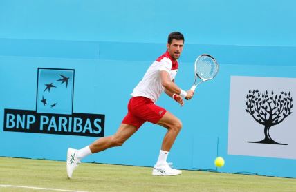 Novak Đoković (23).jpg